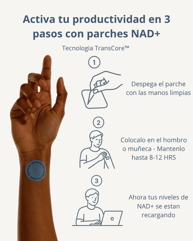 TransCore™ Parches NDA+