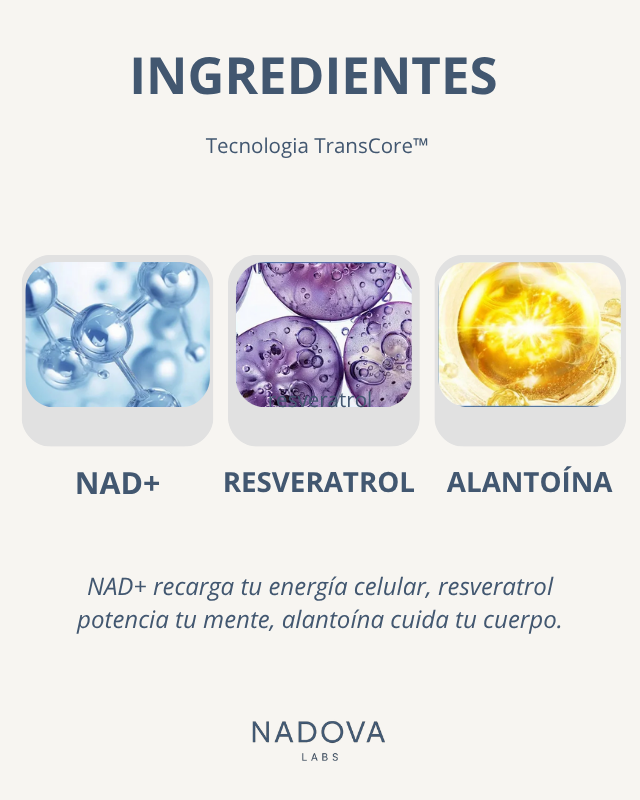 TransCore™  Parches NDA+