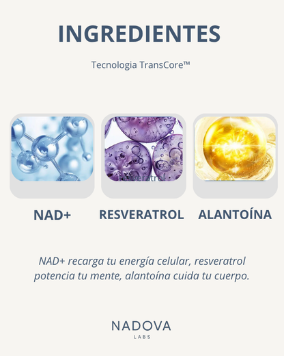 TransCore™  Parches NDA+